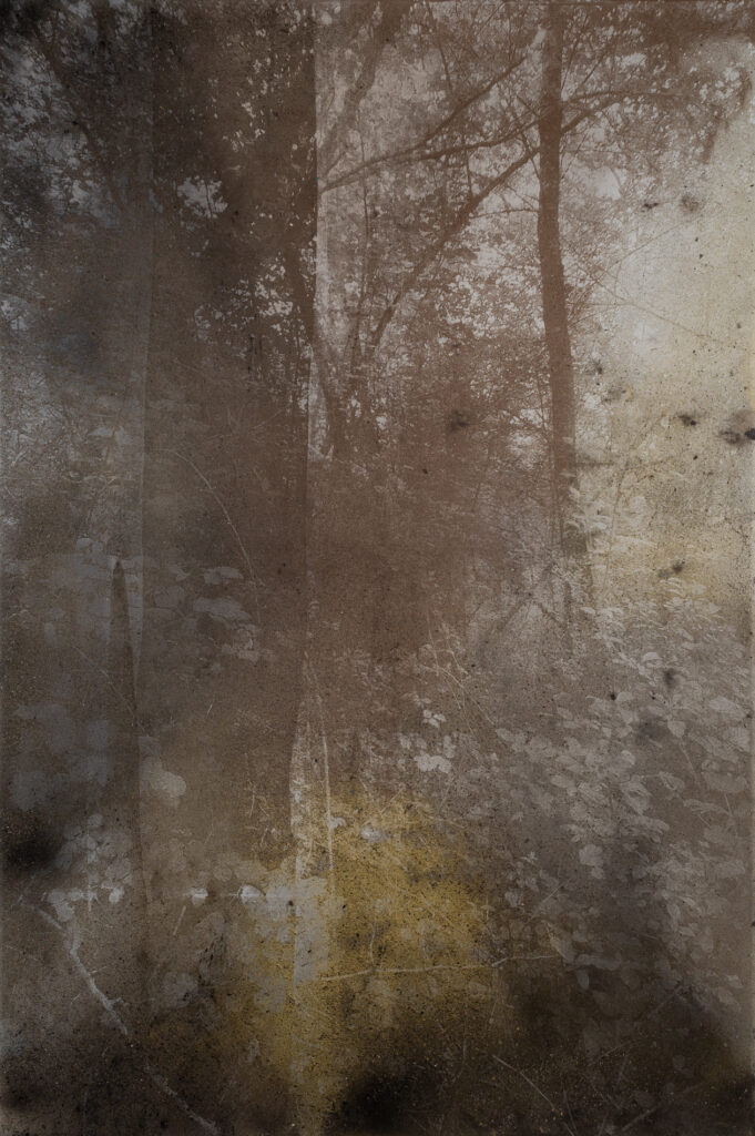 Poussières des cimes du 23-06-2023, apaisement, 2023 Photographie révélée à la poussière sur toile 150 x 100 cm Crédit photo © Margot Montigny